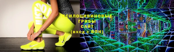 apvp Алексин
