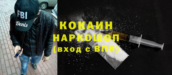 крисы Абаза