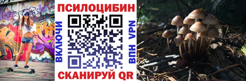 закладка  Лысково  Псилоцибиновые грибы MAGIC MUSHROOMS 